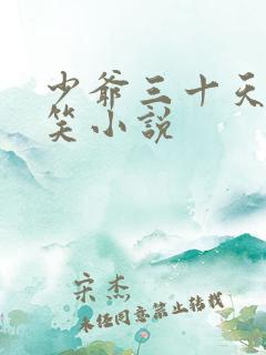 少爷三十天后会笑小说