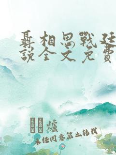 聂相思战廷深小说全文免费