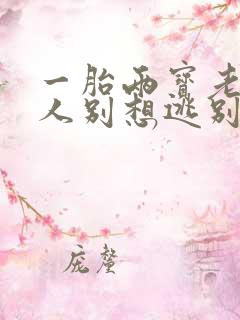 一胎两宝老婆大人别想逃别想