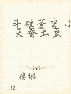斗破苍穹 小说 天蚕土豆