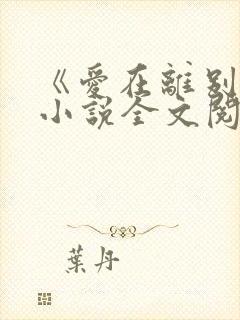 《爱在离别后》小说全文阅读