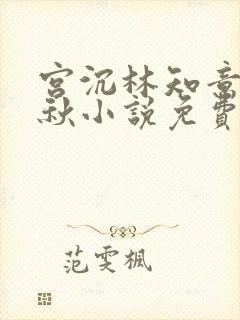宫沉林知意宋婉秋小说免费阅读最新