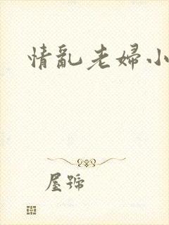 情乱老妇小说
