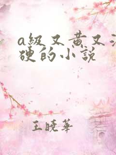 a级又黄又湿又硬的小说