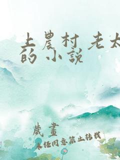 上农村 老太 的 小说