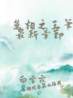 万相之王笔趣阁 最新章节