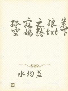 孤寂之狼叶凡司空嫣然txt下载