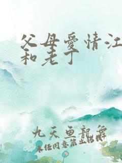 父母爱情江德华和老丁