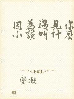 因为遇见你原著小说叫什么