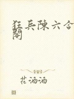 狂兵陈六合笔趣阁