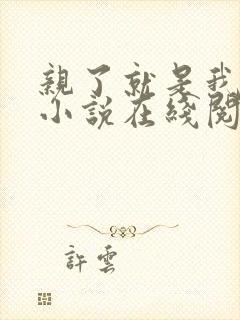 亲了就是我媳妇小说在线阅读全文免费