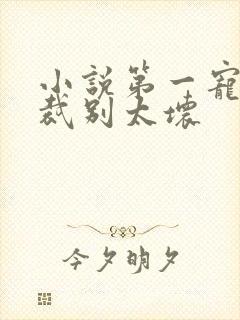 小说第一宠婚总裁别太坏