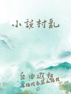小说村乱