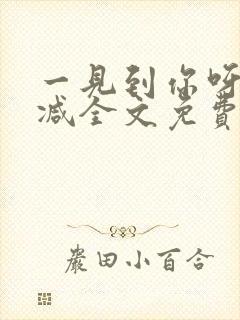 一见到你呀无删减全文免费阅读