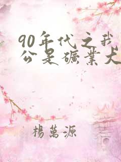 90年代之我老公是矿业大亨小说