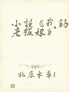 小说《我的绝色老板娘》