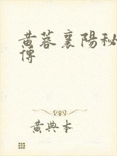 黄蓉襄阳秘史外传