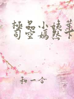 极品小姨叶凡和司空嫣然下载