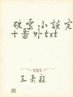 破云小说完整版+番外txt