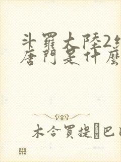 斗罗大陆2绝世唐门是什么时候出的