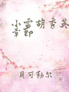 小雷胡秀英全部章节