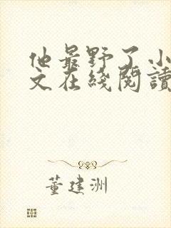 他最野了小说全文在线阅读