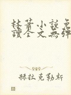林萧小说免费阅读全文无弹窗