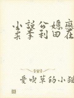 小说公媳恋曲温柔李利田在线阅读
