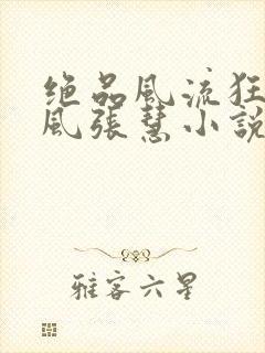 绝品风流狂医林风张慧小说电子书