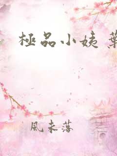 极品小姨 叶凡