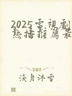 2025电视剧热播推荐最新