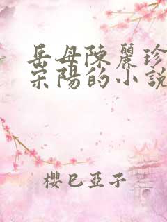 岳母陈丽珍女婿宋阳的小说