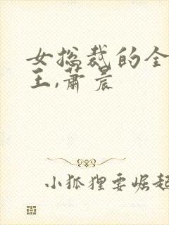 女总裁的全能兵王,萧晨