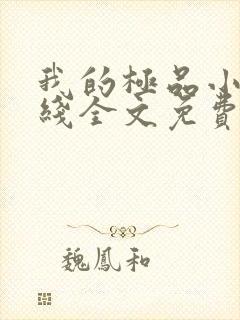 我的极品小姨在线全文免费阅读