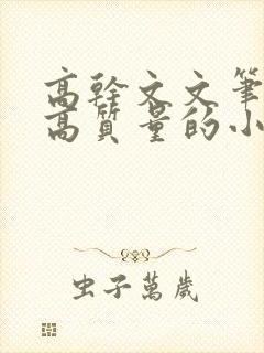 高干文文笔好的高质量的小说现代言情