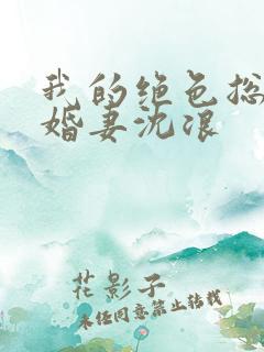 我的绝色总裁未婚妻沈浪
