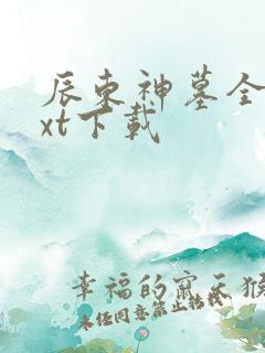辰东神墓全本txt下载
