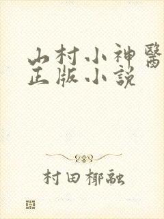 山村小神医陆凡正版小说