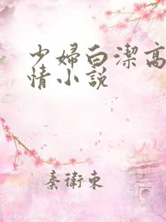 少妇白洁高义言情小说