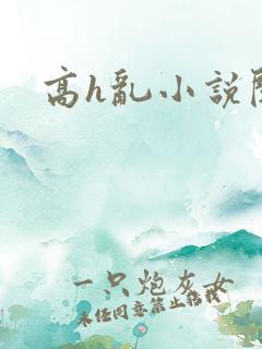 高h乱小说阅读