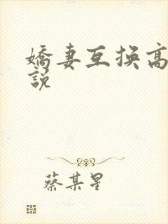 娇妻互换高h小说