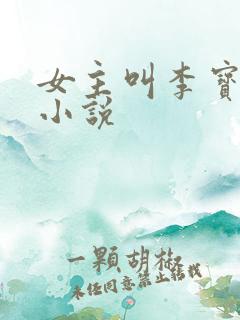 女主叫李宝儿的小说