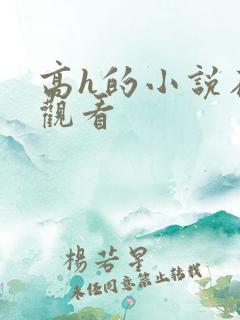 高h的小说在线观看