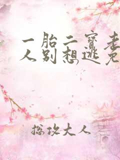 一胎二宝老婆大人别想逃免费阅读