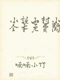 小说山村小农民全本免费阅读