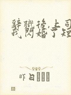 辞职后,上司和我闪婚了短剧