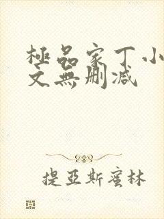 极品家丁小说全文无删减