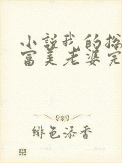 小说我的总裁白富美老婆完结版