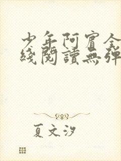 少年阿宾全文在线阅读无弹窗