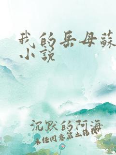 我的岳母苏沛真小说